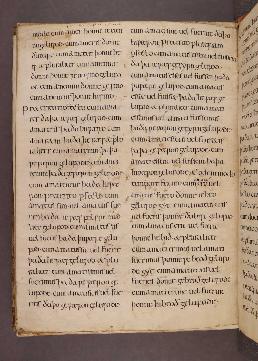 Folio V verso